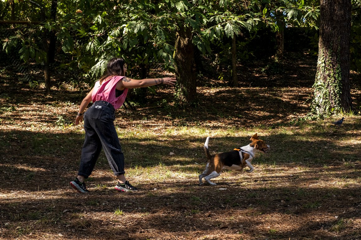 Quinta do Covelo j&aacute; tem parque canino para receber os amigos de quatro patas
