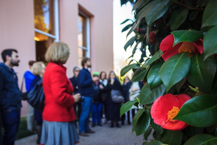 camelias2015_serralves.jpg
