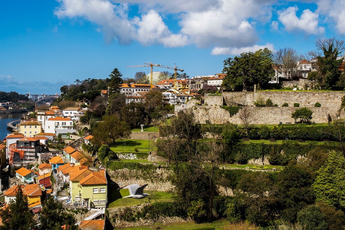 O cavalheiro da dama do parque