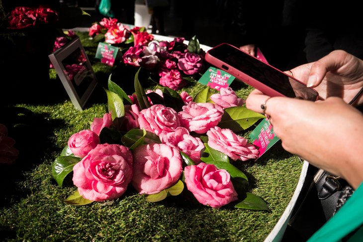 gco_exposicao_camelias_2022.jpg