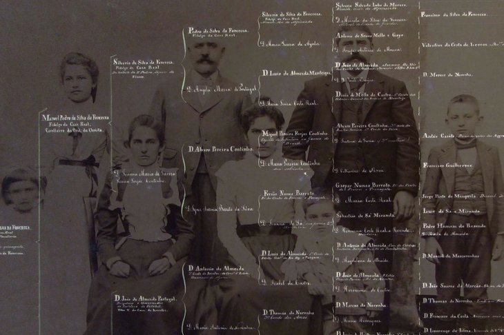 genealogia.jpg