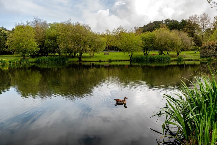 #mno_lago_parque_da_cidade.jpg