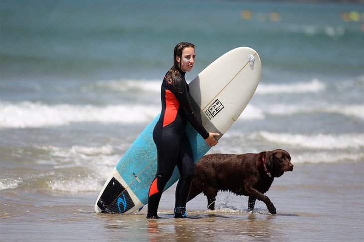 #DR_surf&dogs.jpg