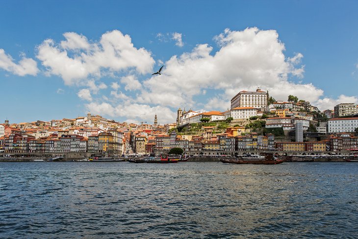#fib_Ribeira_Porto_02.jpg