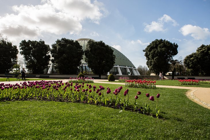 #fib_jardim_tulipas_14.jpg